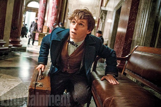 harry7