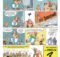 Tendremos nuevo Astérix… llega el 37º albúm de nuestro irreductible galo con la primera lámina mostrada