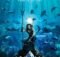 Primer trailer de Aquaman… lo que nos espera